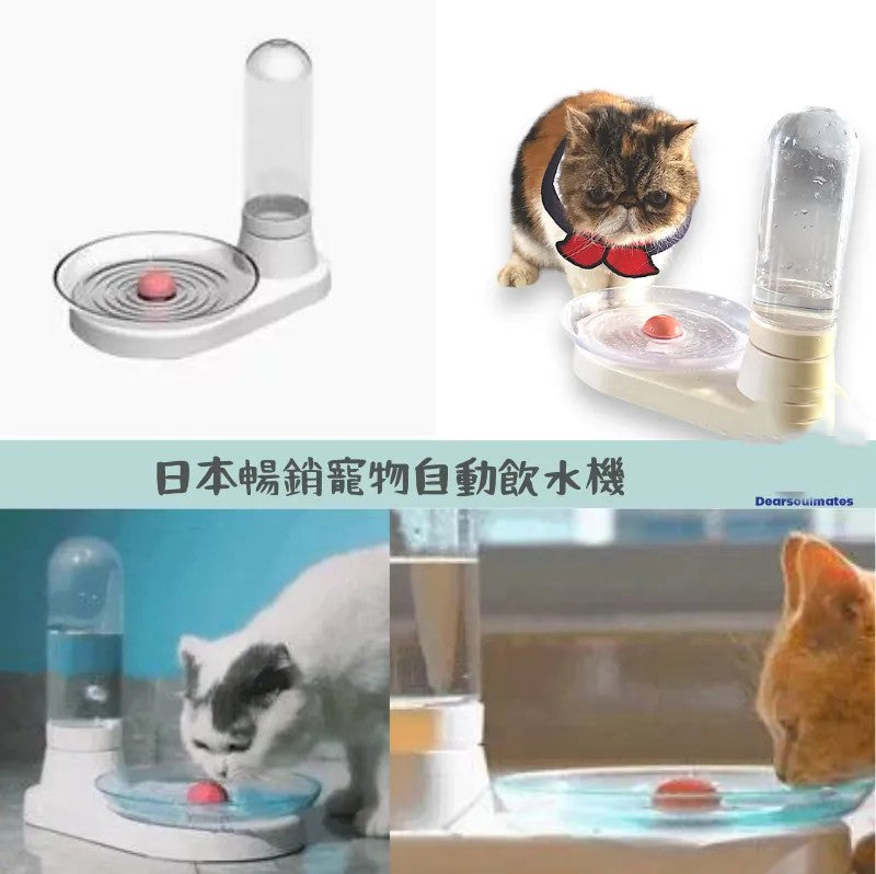 日本暢銷寵物自動飲水機|提升飲水量|貓狗適合|不需用電【逢星期日截單, 預計 : 3至4星期發貨】